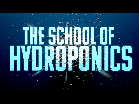 Видео: Мастер-класс по гидропонике, аэропонике, питательным веществам DWC Kratky, EC, pH, уходу за водор...
