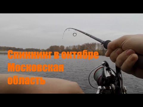 Видео: Рыбалка на спиннинг в конце октября в Московской область 2020