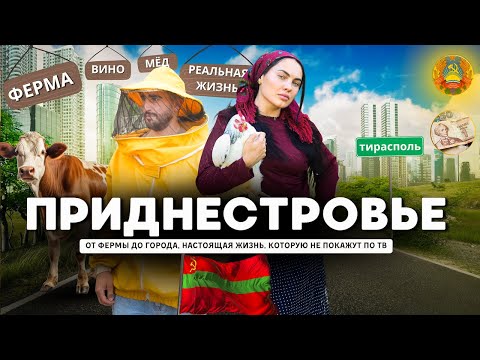 Видео: Приднестровье сегодня, жизнь которую не покажут по тв, ферма, город и дух СССР