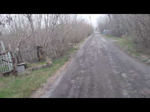 Видео: Опасения Сергея Тристана на кладбище (мысли вслух) #обзоры #кладбища #опасность