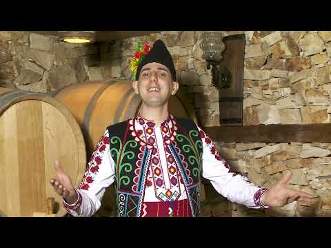 Видео: Stoyko Vasilev - Mitryu na Mihal dumashe | Стойко Василев - Митрю на Михал думаше