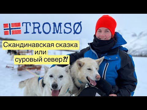 Видео: Жизнь в Норвегии. Скандинавская сказка или суровый север?! Тромсё: 2 года в Арктике.