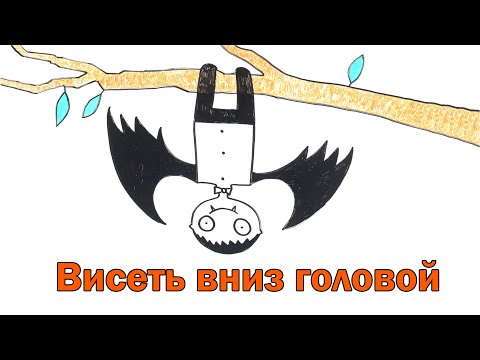 Видео: Что будет, если долго висеть головой вниз?