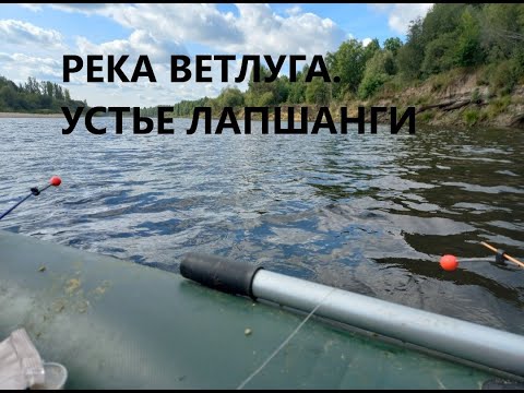 Видео: Клёв осеннего леща на кольцо.Рвет поводки,разгибает крючки. р.Ветлуга.