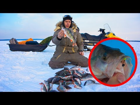 Видео: ЧУДО ЛУНКА! 👍👍👍 Зимняя рыбалка 2018 на ОВХ.  Ловля окуня на чертика.