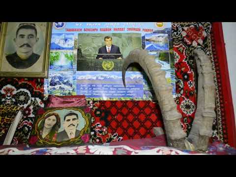 Видео: 6 ноября 2024 г.