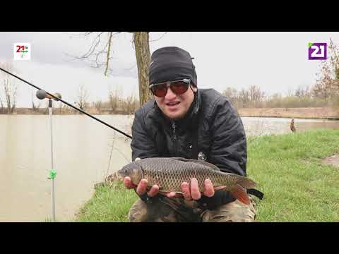 Видео: Карпатське рибалля / Ловля коропа на озері в селі Тисаашвань (Мінеральне)