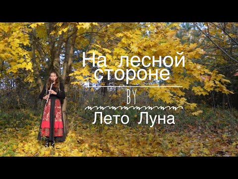 Видео: НА ЛЕСНОЙ СТОРОНЕ - @letolunaofficial КАВЕР ГУСЛИ