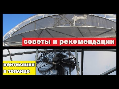 Видео: Все секреты и тонкости вентиляции в теплице