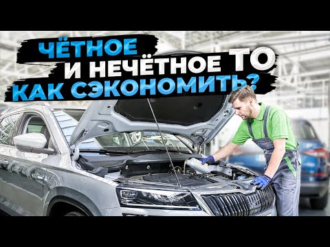 Видео: Чётное и нечётное ТО SKODA, сравниваем работы, считаем деньги