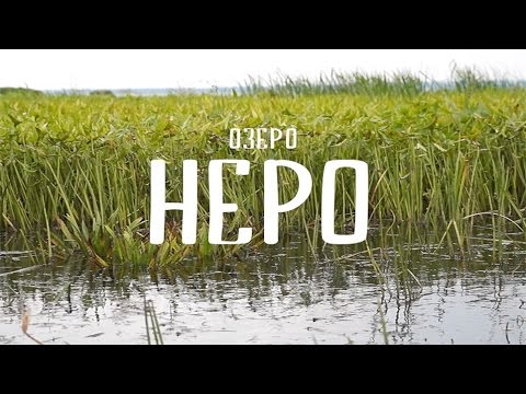 Видео: Экспедиция на озеро Неро