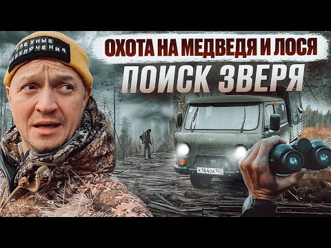 Видео: ОХОТА НА ЛОСЯ И МЕДВЕДЯ // КТО ОКАЖЕТСЯ ХИТРЕЕ? ДОБЫЧА ИЛИ ОХОТНИК?