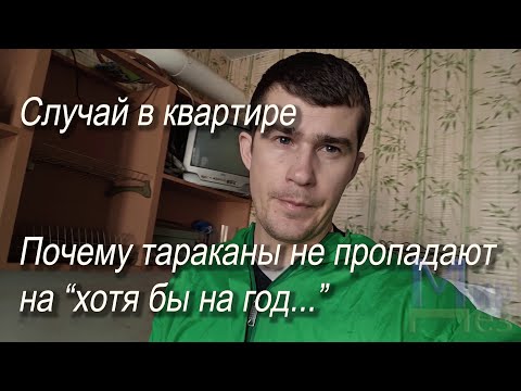Видео: Почему тараканы не пропадают хотя бы на год. МирДез Заставка