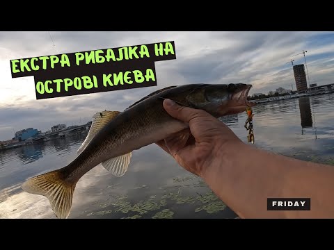 Видео: Неймовірна вечірня риболовля - судак з острова в серці столиці! #рибалка #судак #спінінг #дніпро