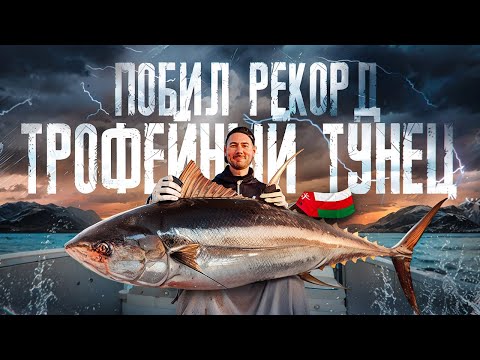 Видео: МOНСТРЫ индийского ОКЕАНА | ТРОФЕЙНЫЙ ТУНЕЦ В ОМАНЕ | побил РЕКОРД!