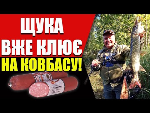Видео: Просте ЩУЧЕ правило, яке не залишить без улову восени. Crazy Fish Contact 802MT