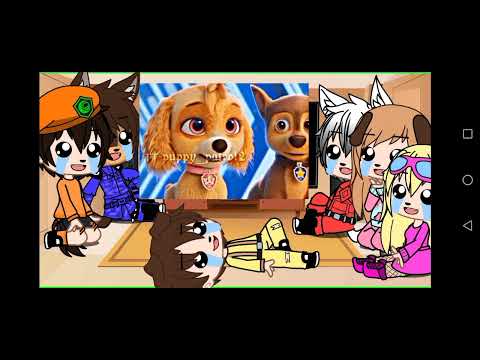 Видео: реакция щенков на самих себя