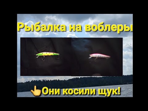 Видео: Рыбалка на спиннинг с лодки, троллинг #рек #рыбалка #рыба