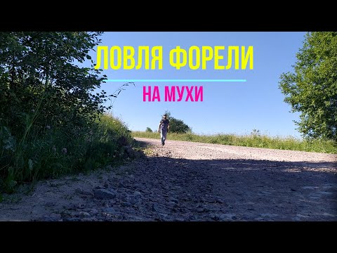 Видео: #258 | Мормышинг | Ловля Форели на мухи |