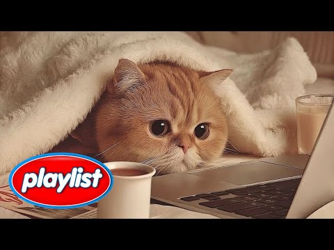 Видео: playlist[cafe]🎧 За одеялом опасно😺 | Уютный инди-поп плейлист на 4 часа
