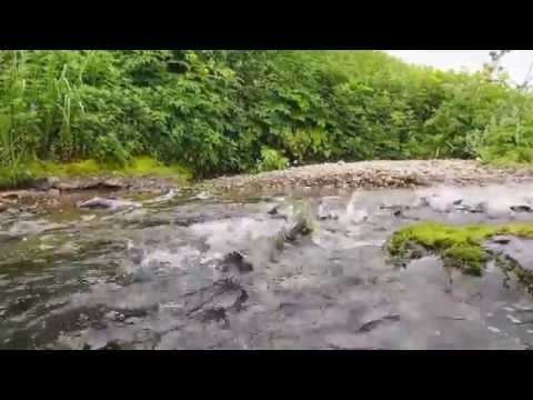 Видео: Остров Беринга. Восьмая сургутская экспедиция на гидроциклах.