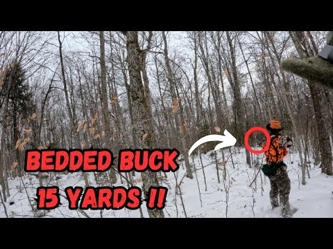 Видео: ПОСЛЕДНИЙ ДЕНЬ ADK BUCK | 2024 | ОТСЛЕЖИВАНИЕ | BUDDY HUNT