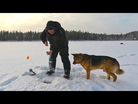 Видео: Рыбалка на неизвестном озере в феврале. Глухозимье. Нашли зверя в норе.