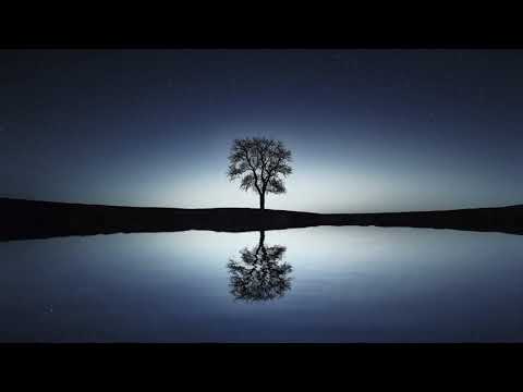 Видео: Кто ТАМ - выбор