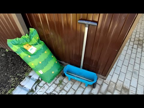 Видео: Посадка газона вокруг участка (ОВСЯННИЦА КРАСНАЯ, МЯТЛИК ЛУГОВОЙ)