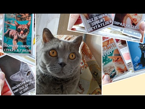 Видео: Дорогой дневник. ☺