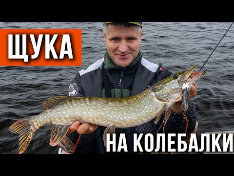 Видео: Щука, осенью на колебалки.