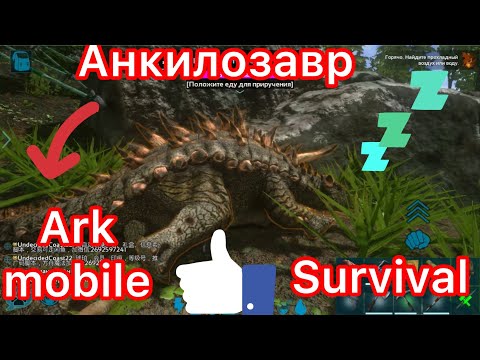 Видео: Как приручить анкилозавра в Ark mobile?