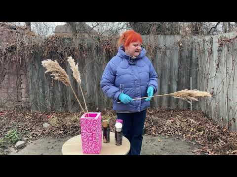 Видео: Как покрасить тростник.Покраска сухоцветов.Как покрасить пампасную траву.Покраска кортадерии