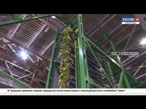 Видео: В Чувашии протестировали новый хмелеуборочный комбайн