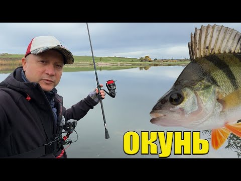Видео: СПІННІНГ в руках! а ОКУНЬ. ТОП Рибалка на спінінг