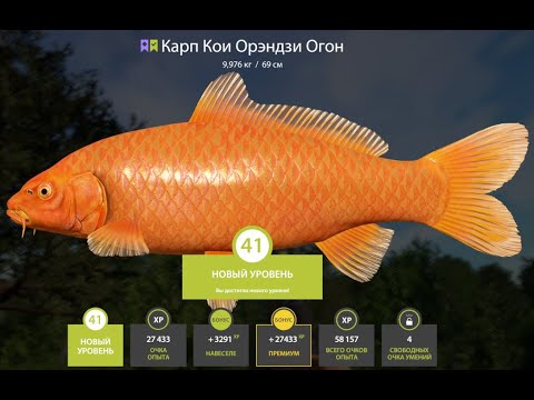 Видео: Русская рыбалка 4 !!!