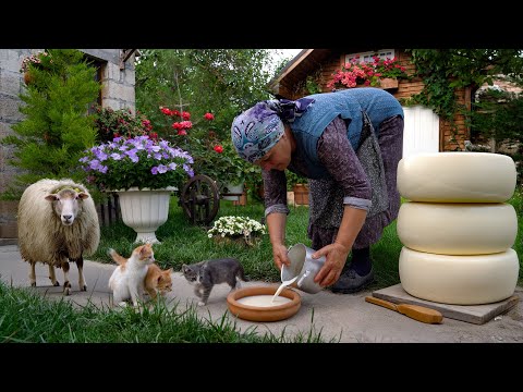 Видео: Приготовление Свежего Сыра Из Овечьего Молока На Природе 🧀🐑🍃