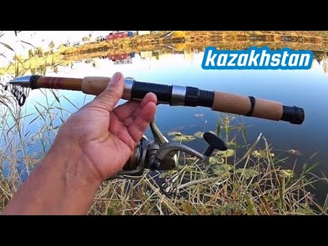 Видео: Рыбалка на донку в конце сентября. Fideer fishing Astana