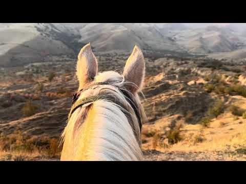 Видео: Тамаша кылып көрүп коюңуздар
