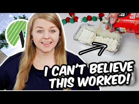 Видео: Не могу поверить, что этот трюк с Dollar Tree действительно сработал!! 🤯