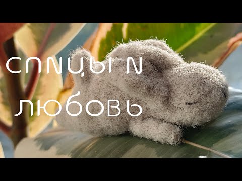 Видео: Марафон спицы и любовь / второй отчёт