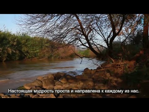 Видео: Мудрость каббалы