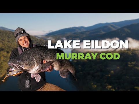 Видео: Зимняя муррейская треска на озере Эйлдон: основные места для рыбалки, приманки и сессии