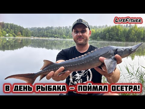 Видео: Поймал Осетра на День Рыбака! Рыбалка на платнике. Рыболовный клуб Раскаты. Июль 2024.