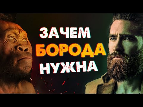 Видео: Зачем нужна Борода у мужчин / Половой диморфизм