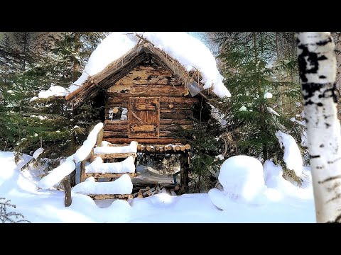 Видео: НОЧЬ в ИЗБЕ МОГЛА БЫТЬ ПОСЛЕДНЕЙ | МОЗГИ НА БЕРЕЗЕ | НАПАЛА ХВОРЬ!