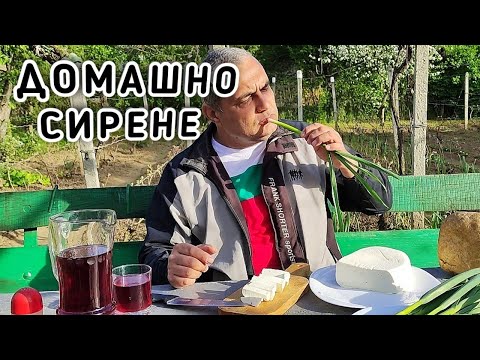 Видео: ДОМАШНО КРАВЕ СИРЕНЕ! КАК СЕ ПРАВИ И ТЪНКОСТИ В МАЙСТОРЛЪКА НА ПРИГОТВЯНЕ! ВКУСЪТ НА НАШЕТО ДЕТСТВО