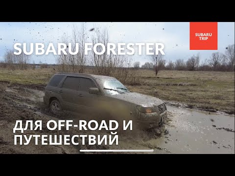 Видео: Subaru Forester SG 2006 года 2.0л 158 лс | обзор