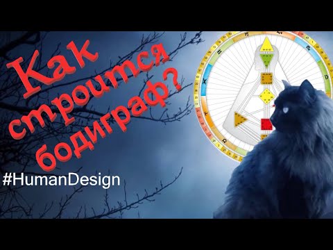 Видео: Дизайн Человека: как строится бодиграф? Как возникают типы? Манифестор, генератор, проектор