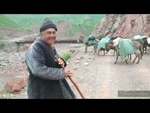 Видео: Сухбати мо бо Дахмарда 28 руз шуд дарохем😂😂😂☝️☝️☝️